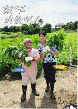 亚洲户外综艺在线播放荒野茶话会